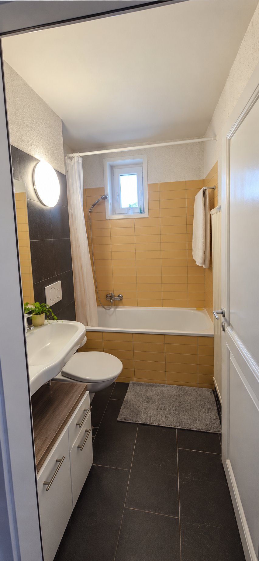 Photo 3 du logement à Lausanne